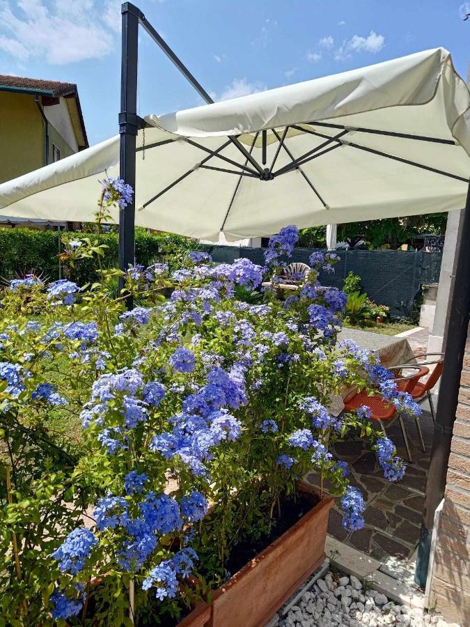 Bertos House Tra Mare E Laguna Cavallino-Treporti Exterior photo